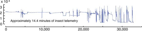 Fig. 14