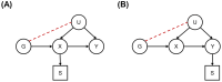 Directed acyclic graphs on selection bias in Mendelian randomisation analyses. Directed acyclic graphs where G represents the instrumental variable, X the exposure, U the confounder, Y the outcome and where selection (S) leads to selection bias if it is dependent on levels of the exposure (panel A) or outcome (panel B)