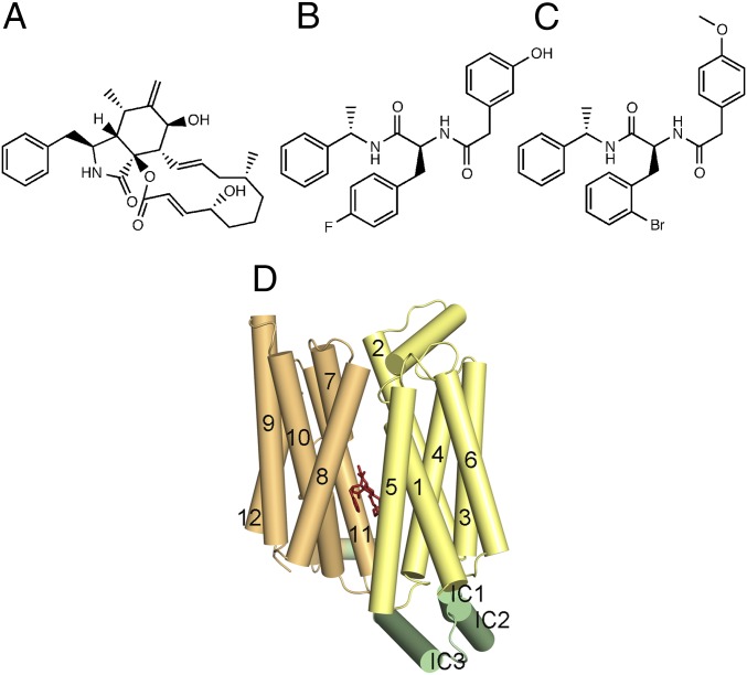 Fig. 1.