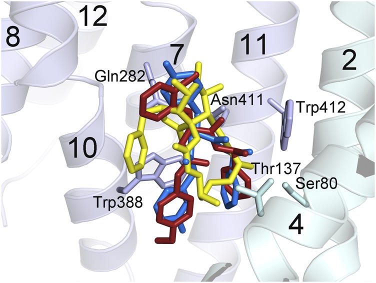 Fig. S6.