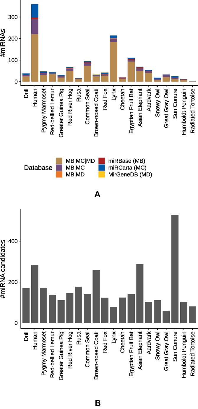 Figure 5.