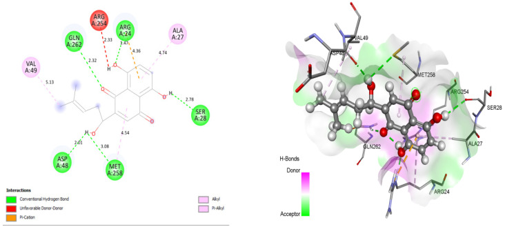 Figure 2