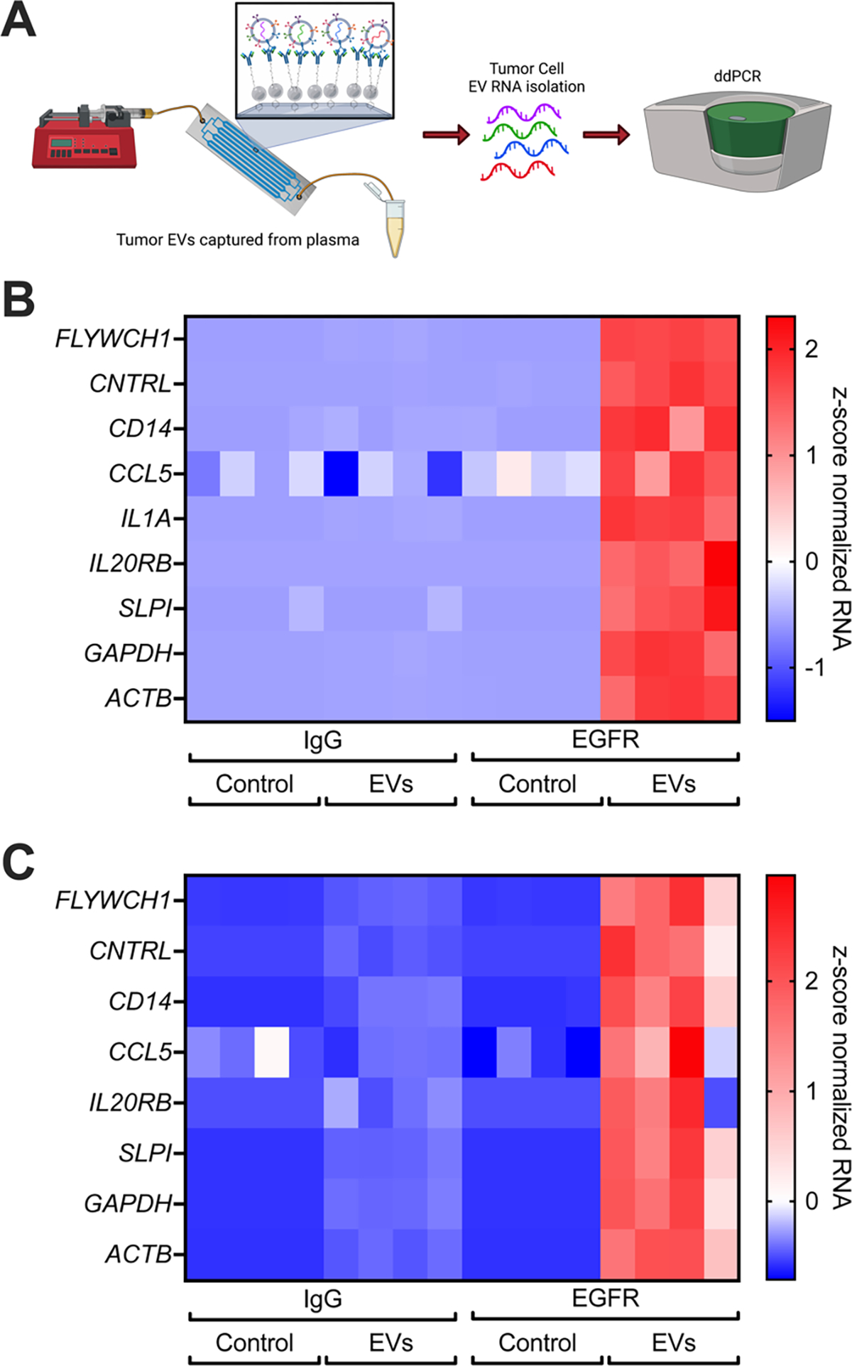 Figure 6: