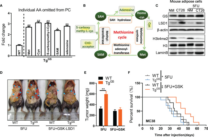 Figure 4