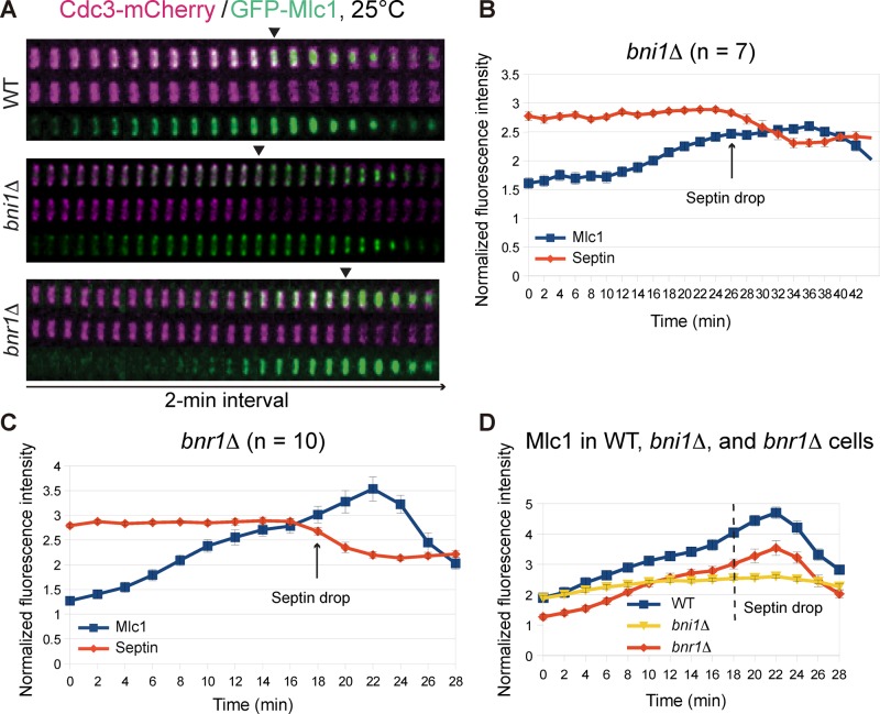 FIGURE 4: