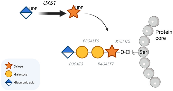 FIGURE 1