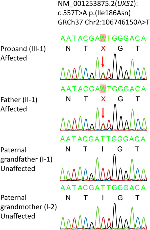 FIGURE 4