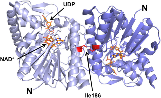 FIGURE 5