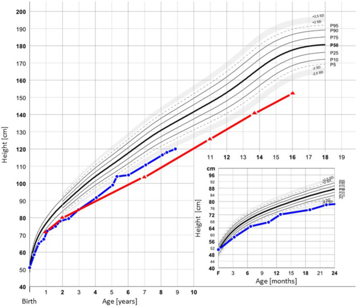 FIGURE 2