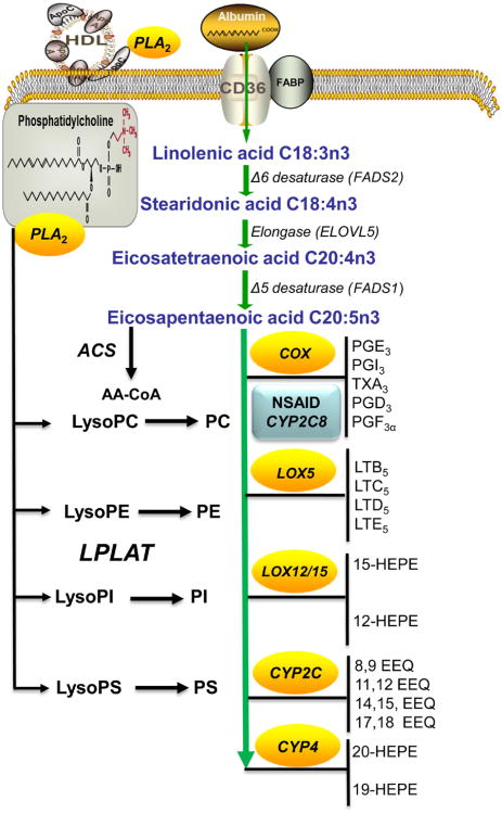 Figure 5.3