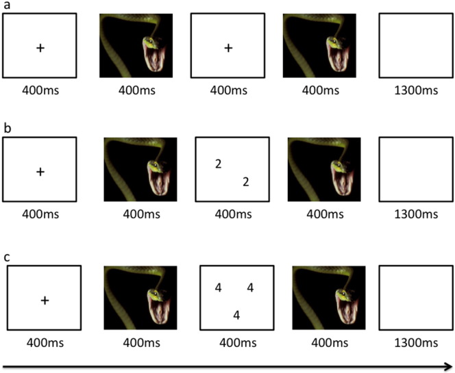 Fig. 1