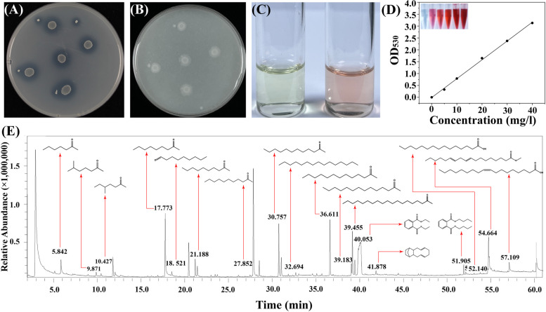 Fig. 11