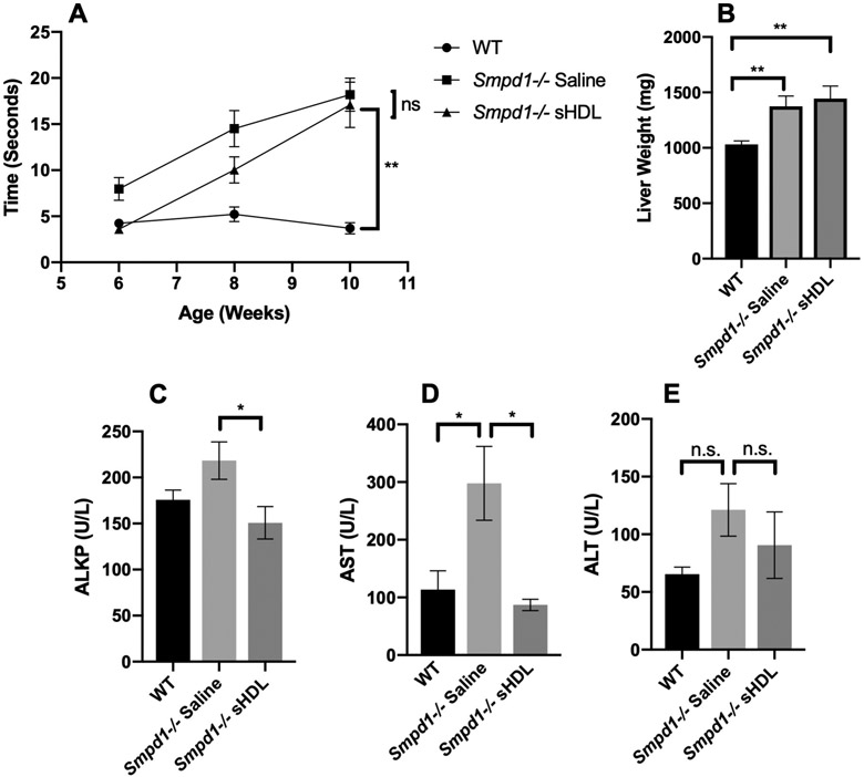 Figure 4: