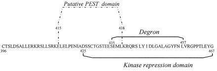 FIG. 9.