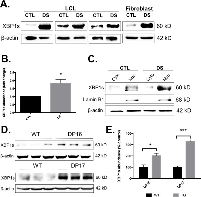 Fig 4