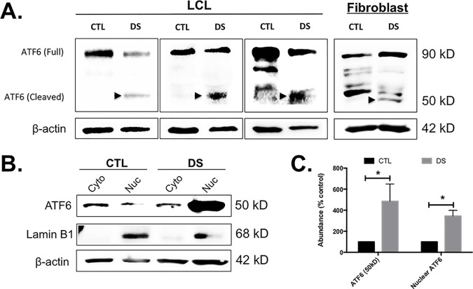 Fig 6