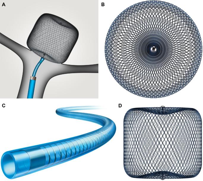 FIGURE 1.