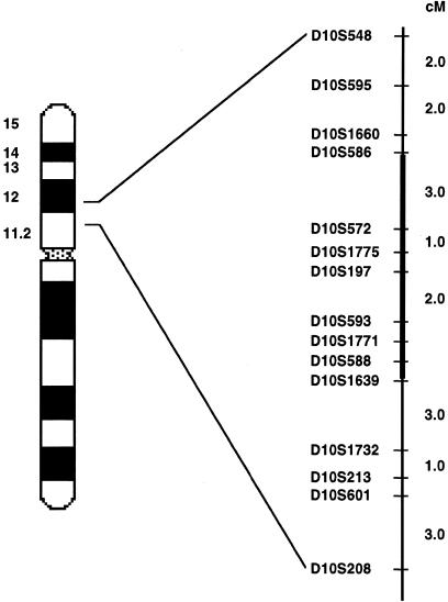 Figure  2