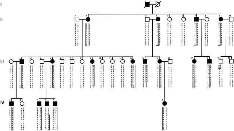 Figure  1