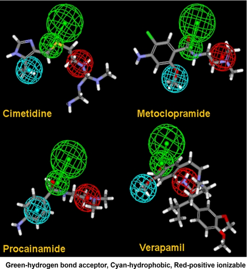 FIGURE 3.