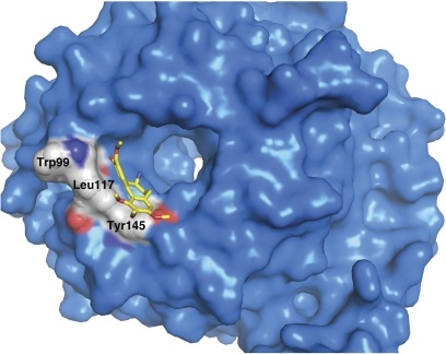 Fig. 2.