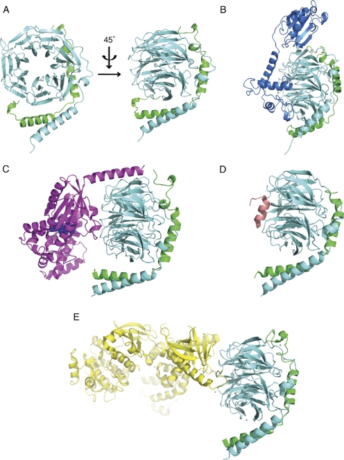 Fig. 1.