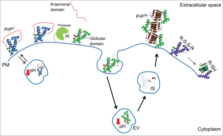 Figure 2.