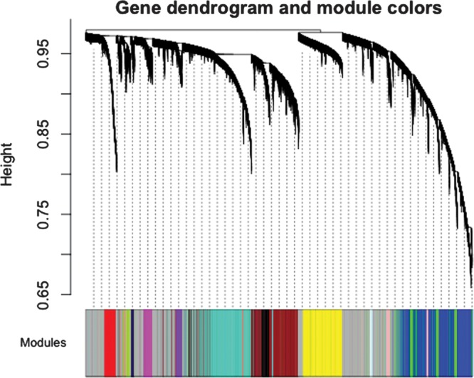 Figure 1.