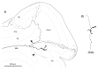 Fig. 9.