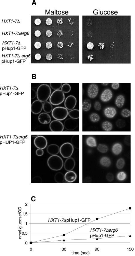 FIG. 7.