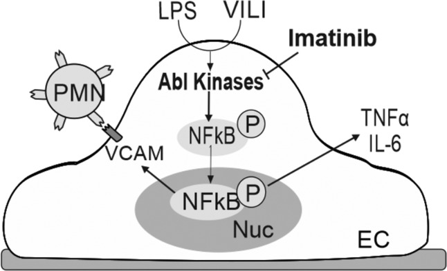 Fig. 8.