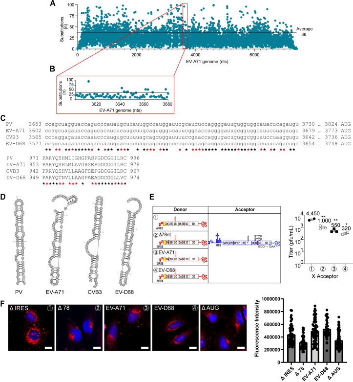 Fig 11