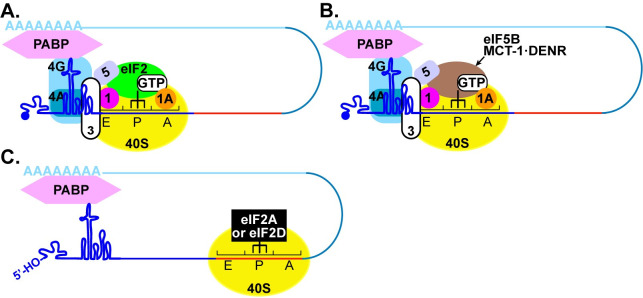 Fig 14