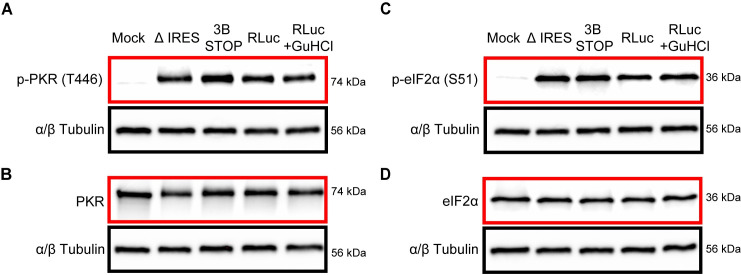 Fig 8