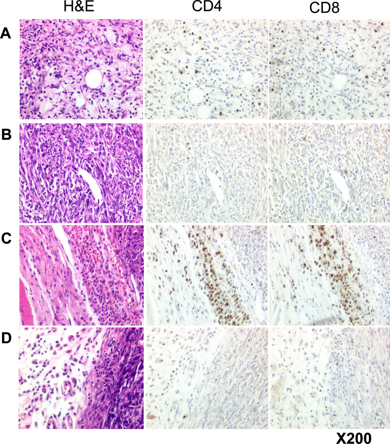 Fig. 6