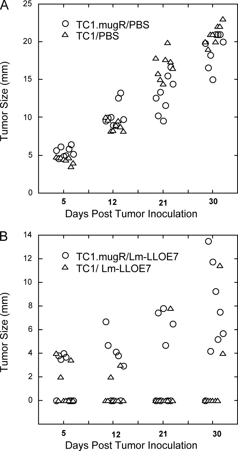 Fig. 7