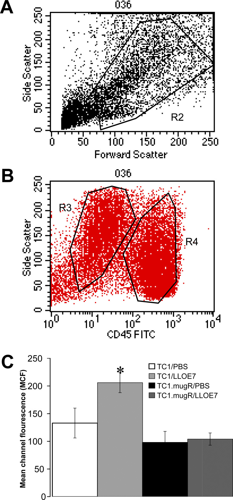 Fig. 3