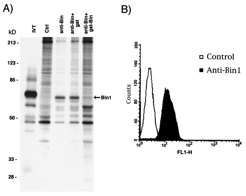 FIG. 1