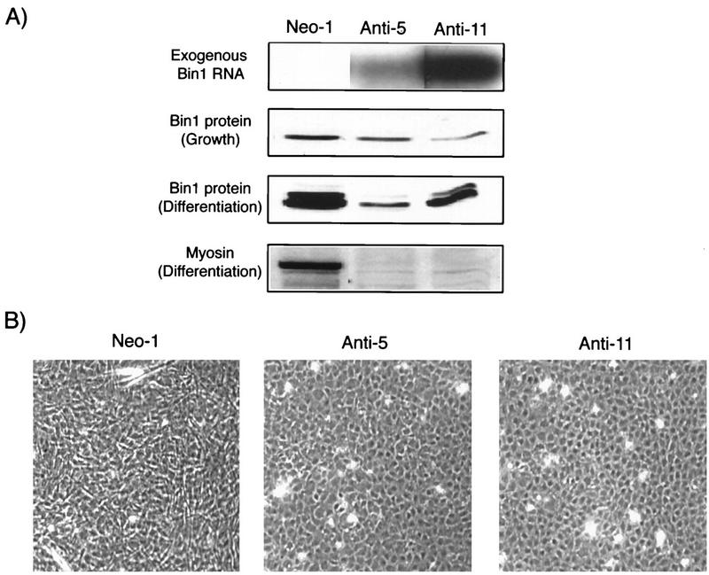 FIG. 9