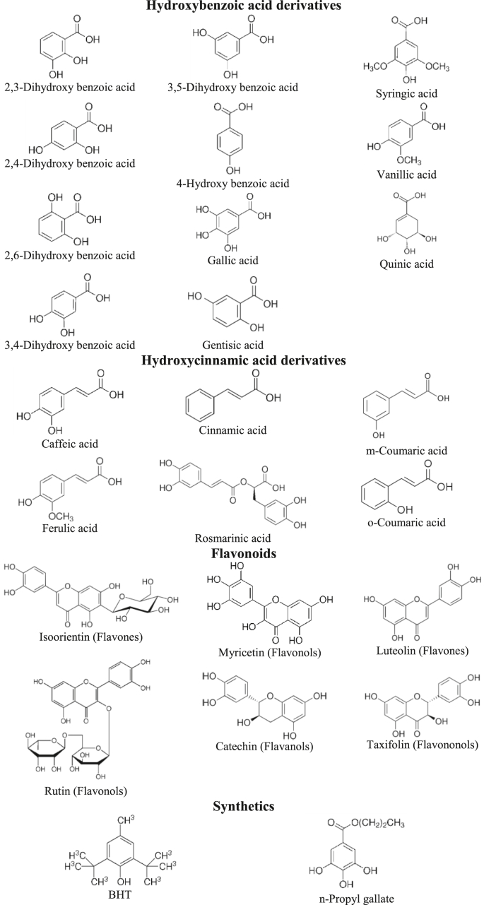 Figure 1