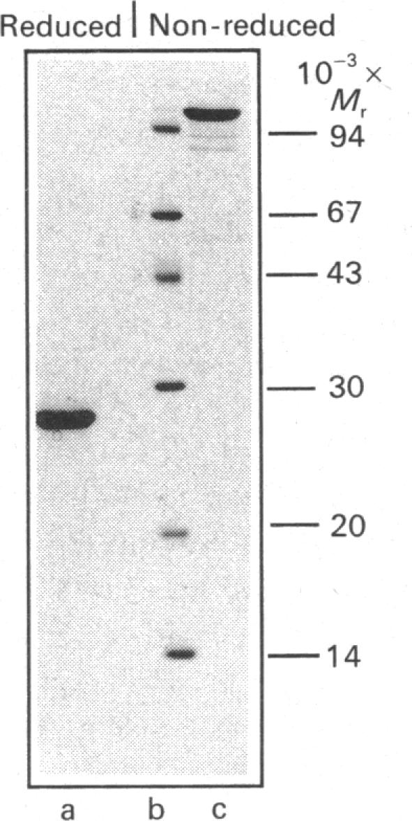 Fig. 10.