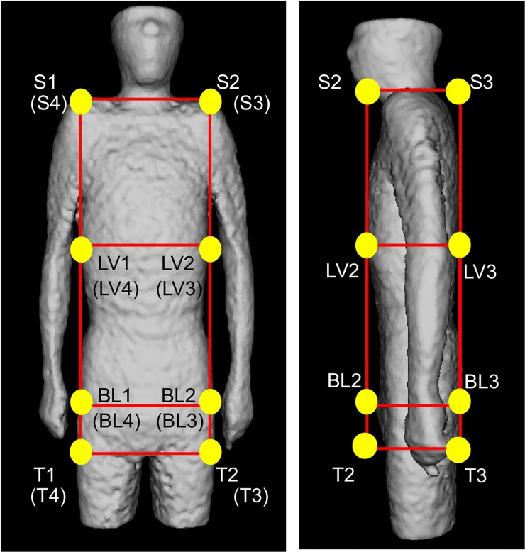 Fig 5