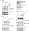 FIG 9