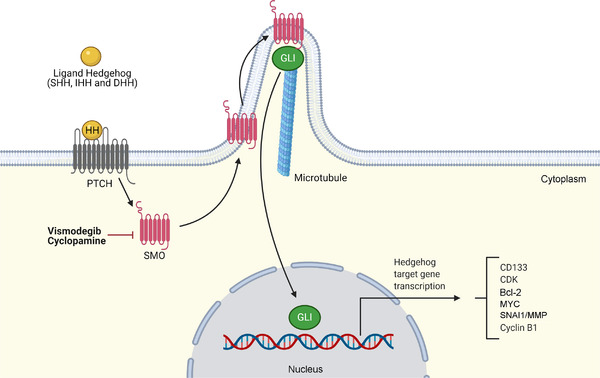 FIGURE 3