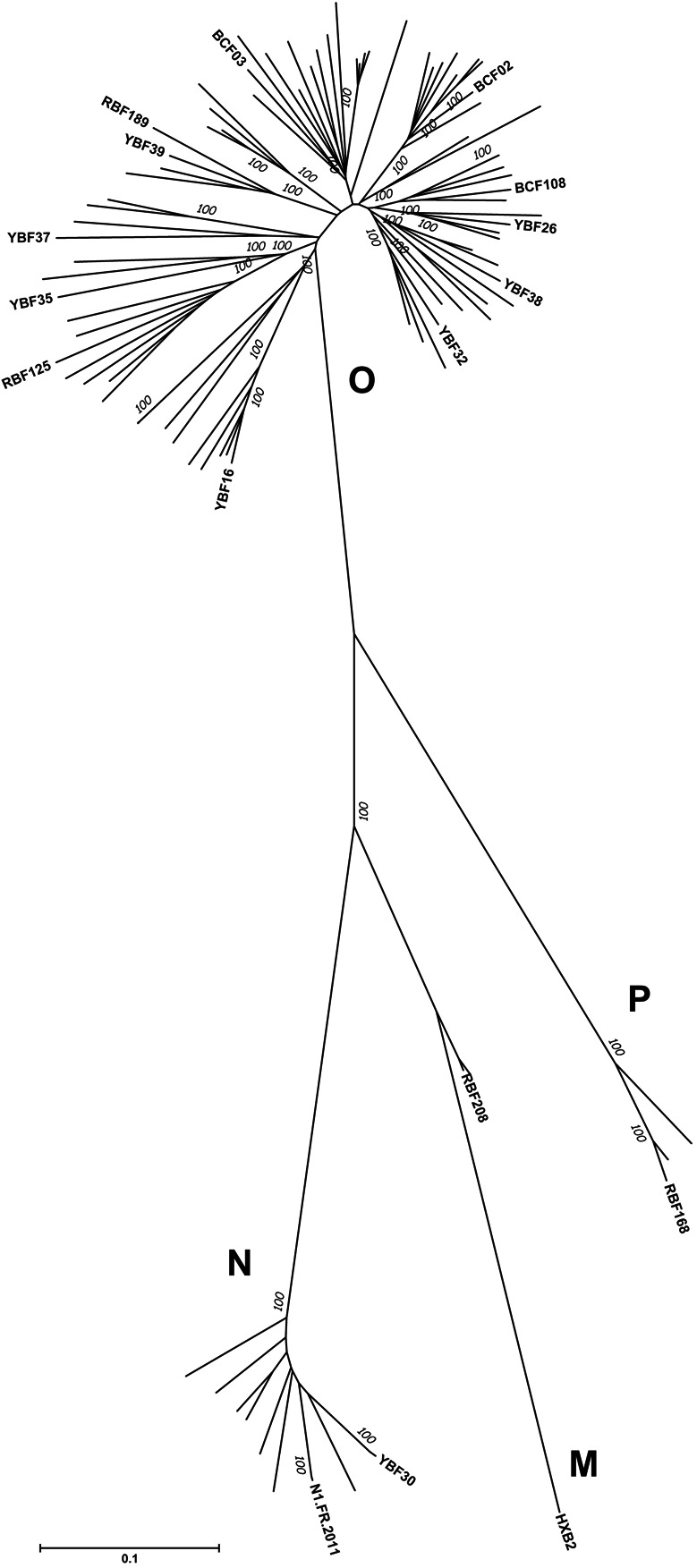 FIGURE 1