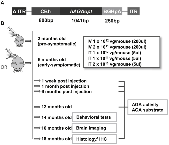 Figure 1