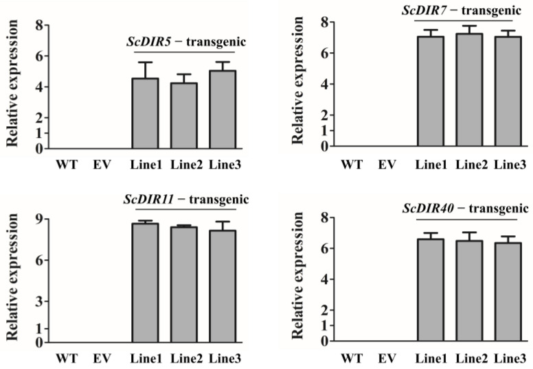 Figure 5