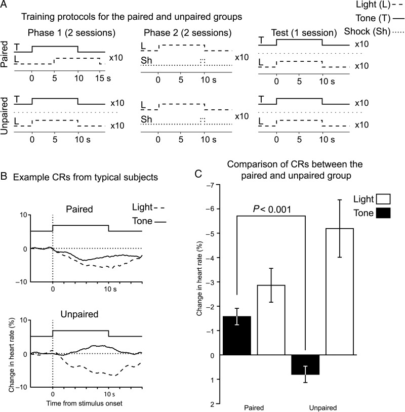 Figure 1.