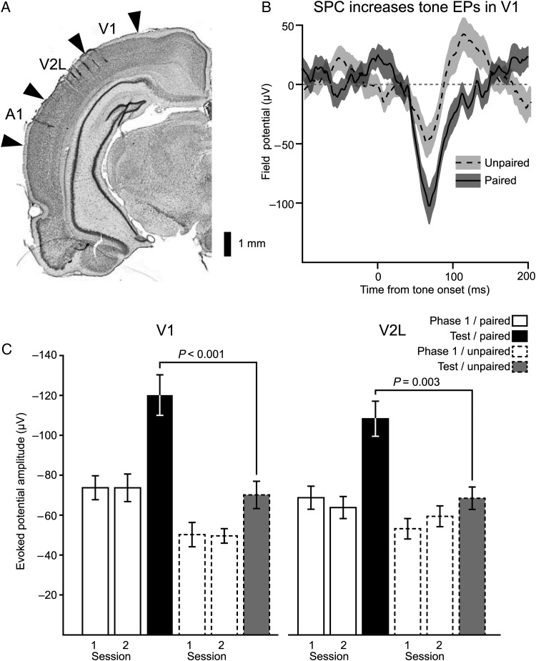 Figure 2.