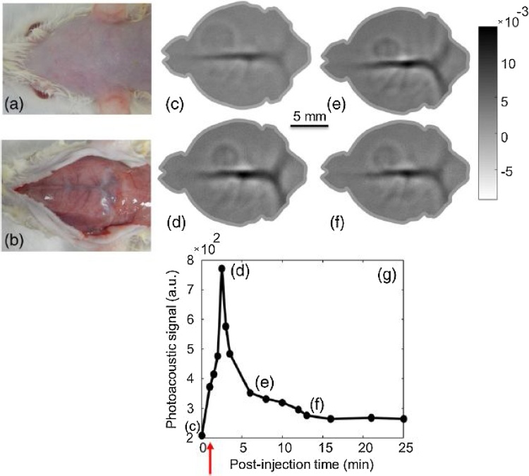 Fig. 8